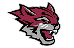 California State University - Chico logo