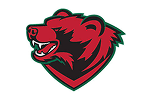 Washington University in St. Louis logo